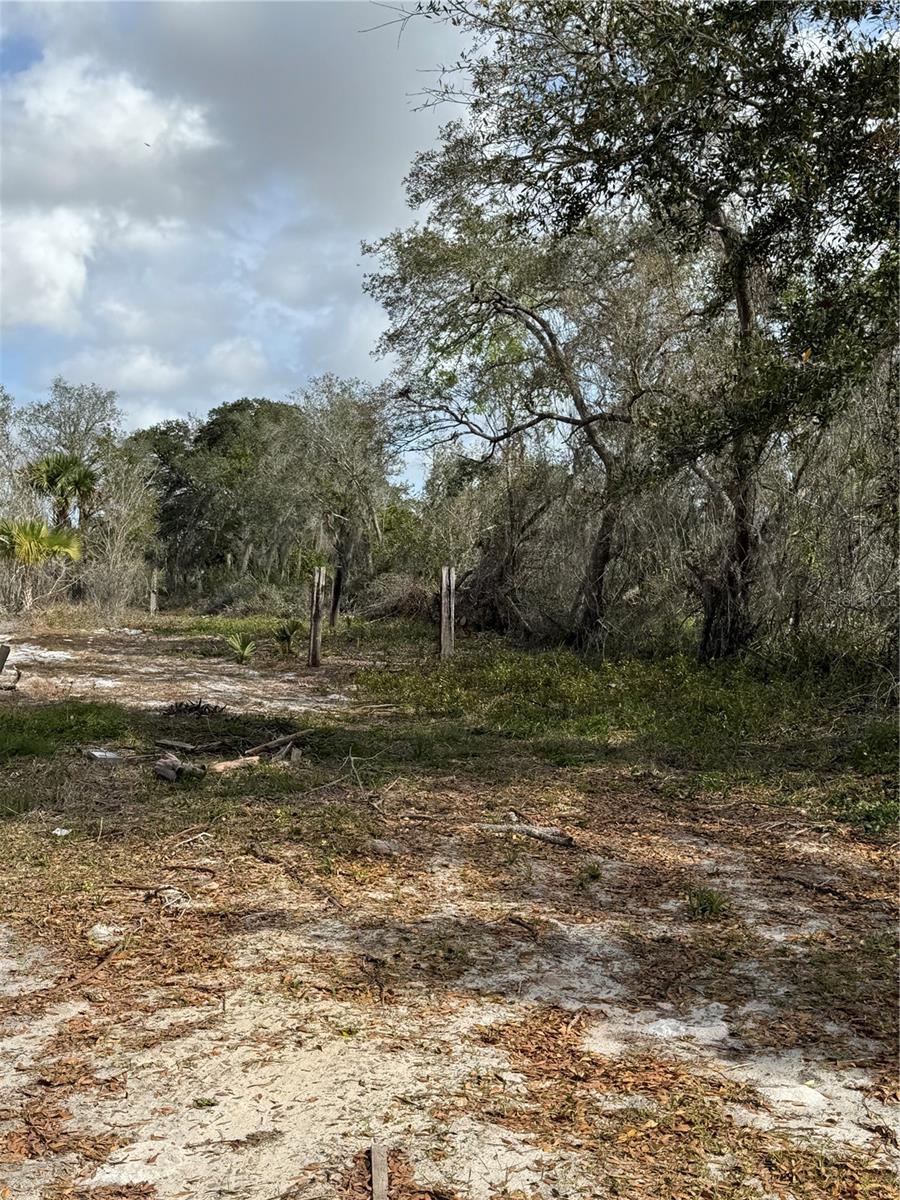 2728 ADAIR RD, DAVENPORT, FL, 33837