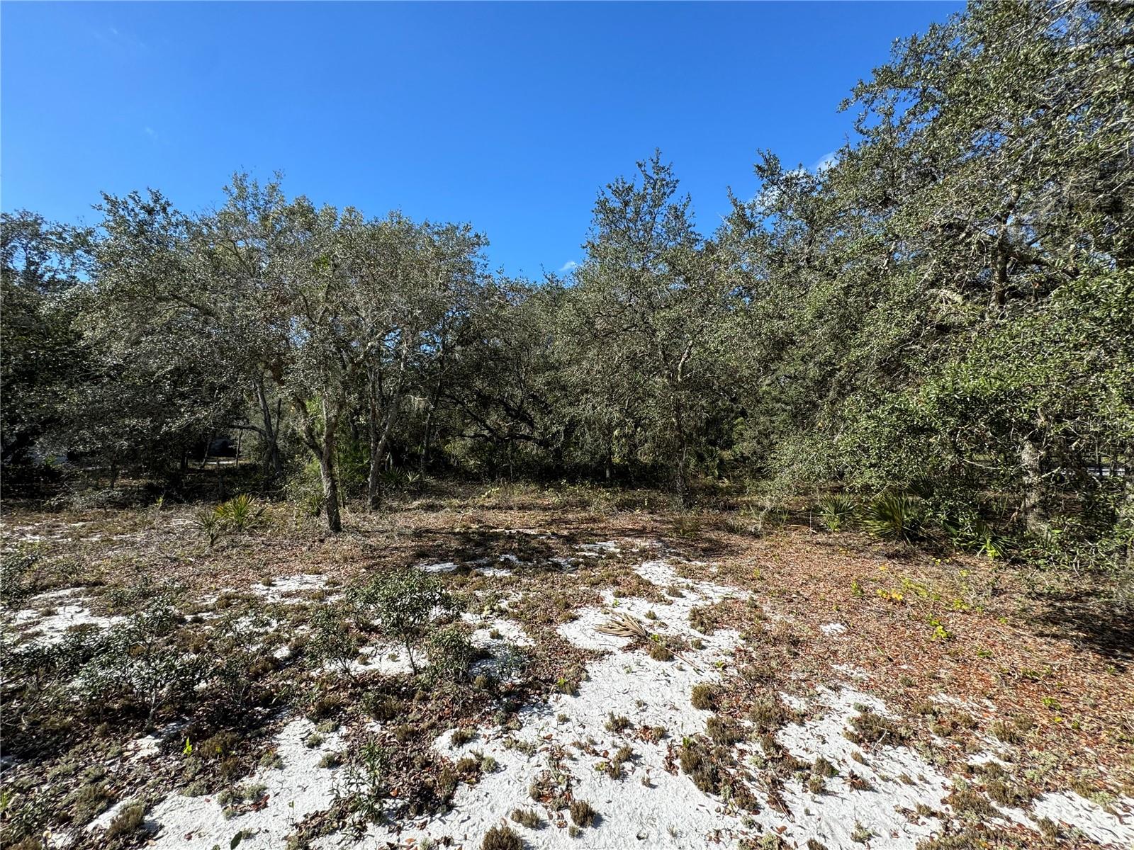 2728 ADAIR RD, DAVENPORT, FL, 33837
