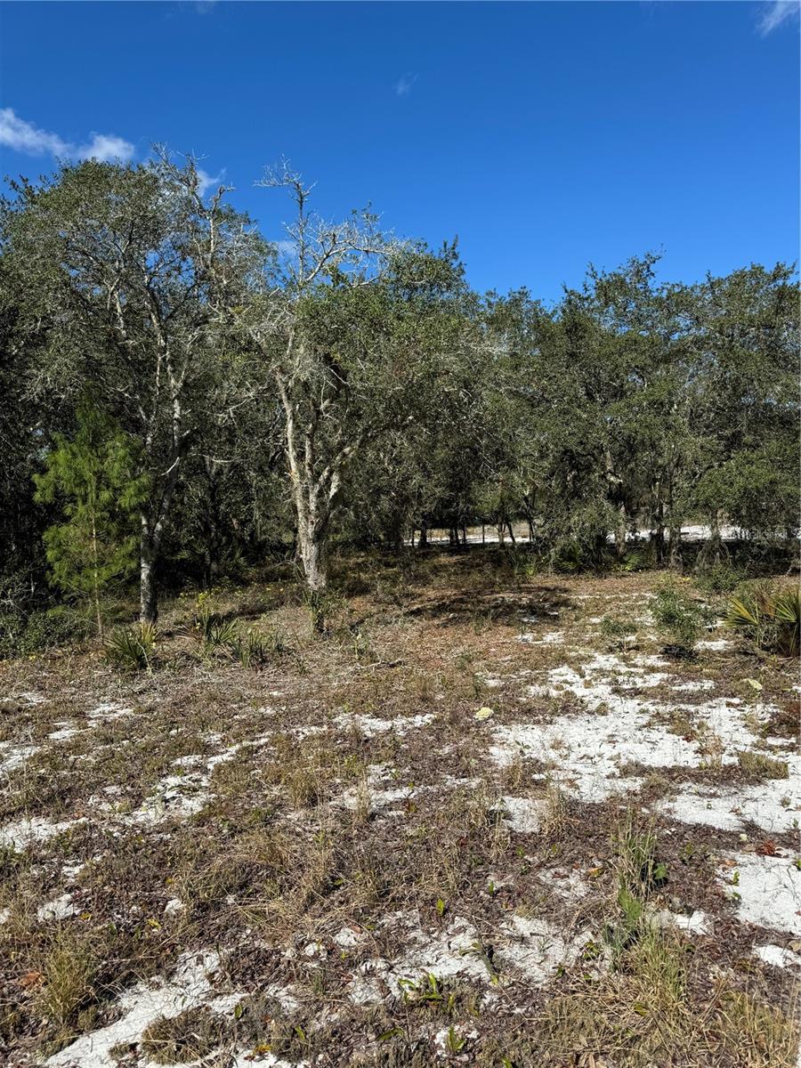 2728 ADAIR RD, DAVENPORT, FL, 33837