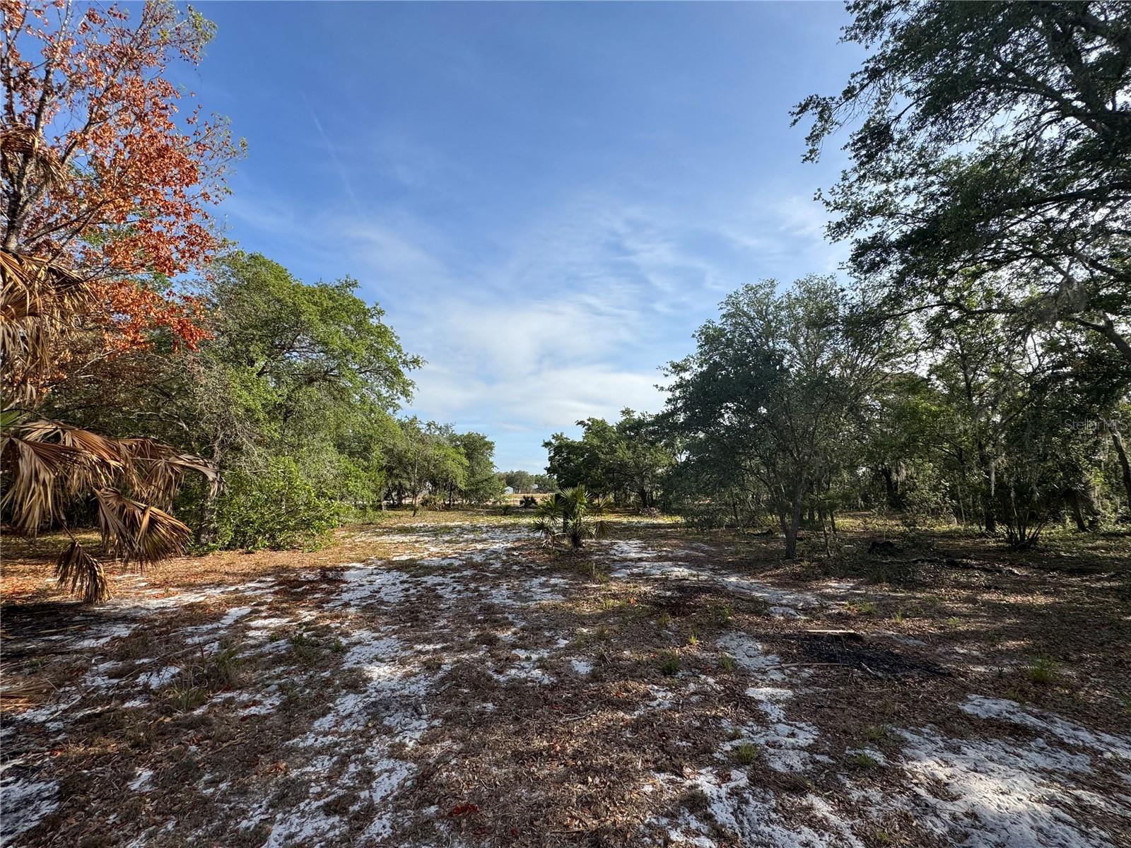 2728 ADAIR RD, DAVENPORT, FL, 33837