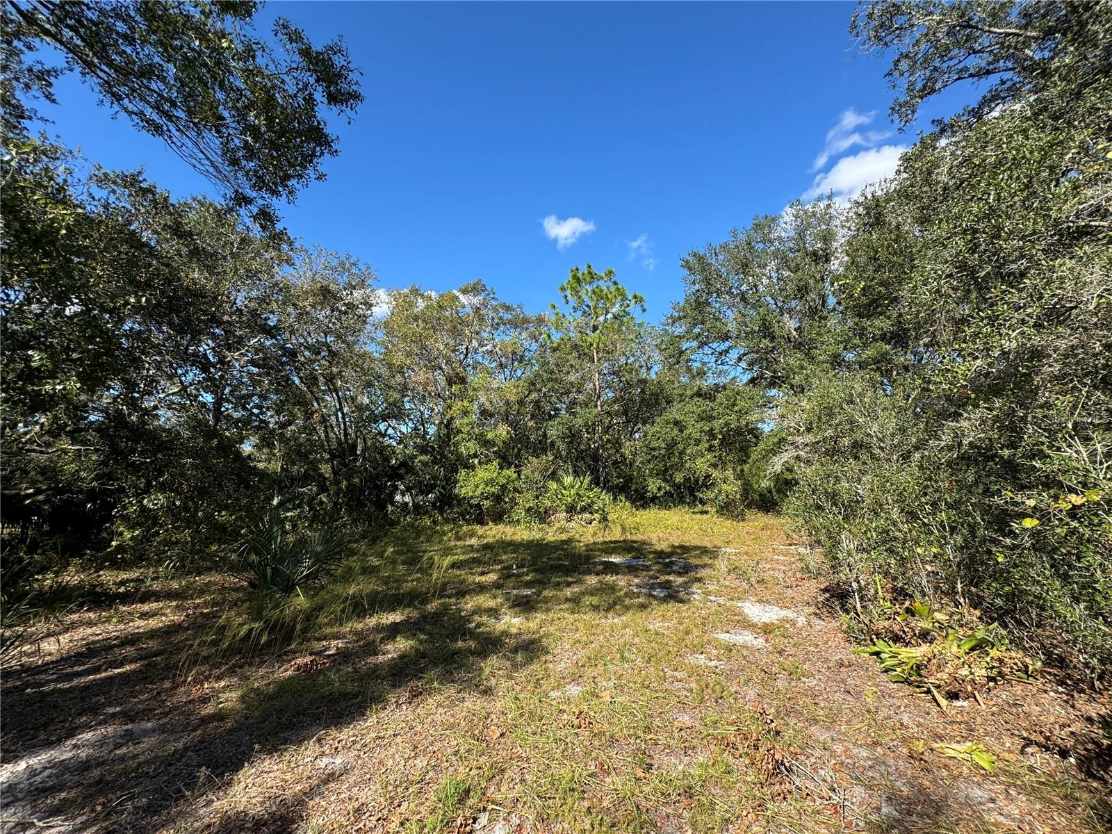 2728 ADAIR RD, DAVENPORT, FL, 33837