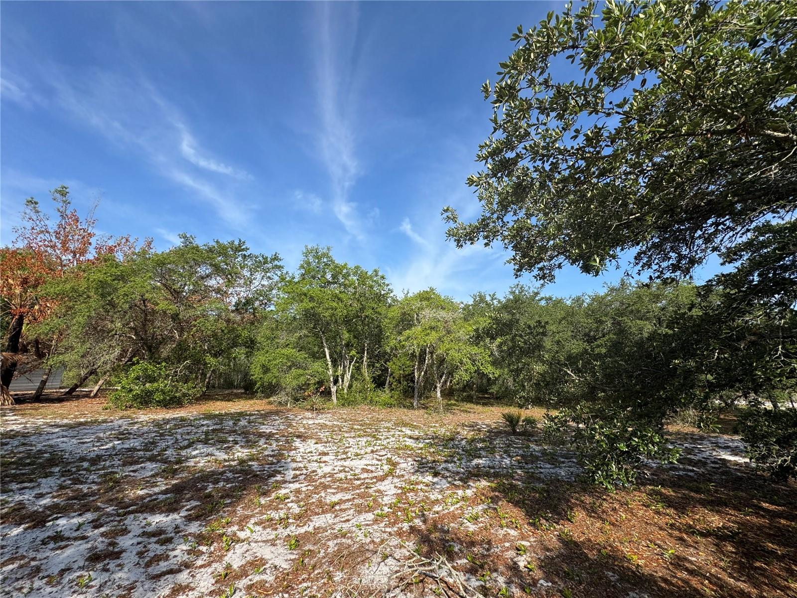 2728 ADAIR RD, DAVENPORT, FL, 33837