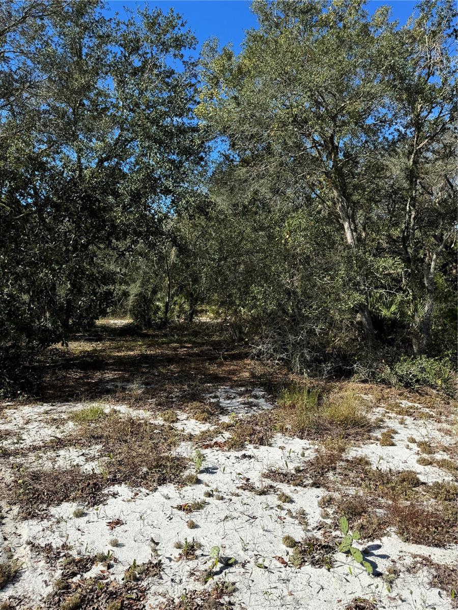 2728 ADAIR RD, DAVENPORT, FL, 33837