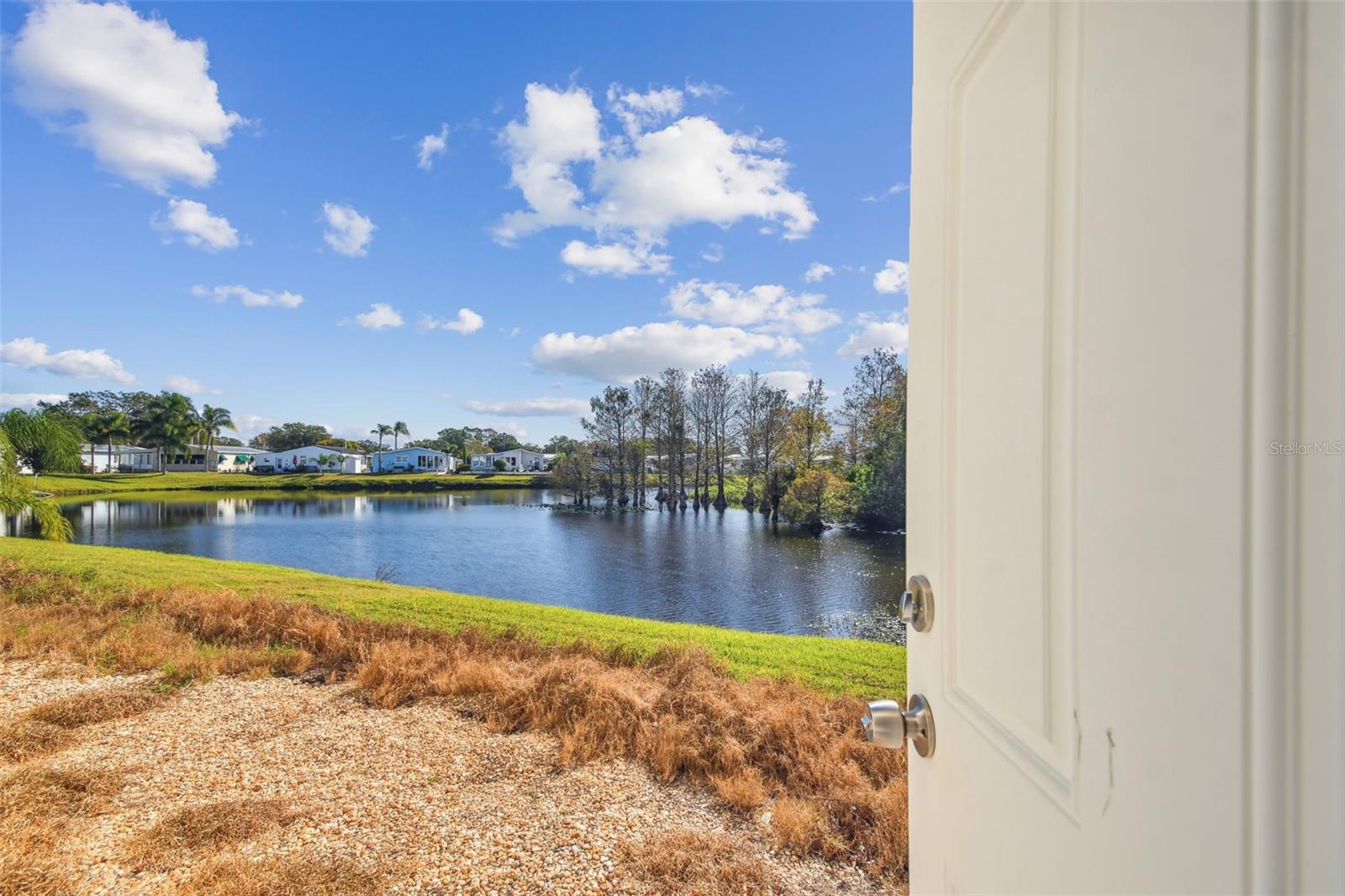 619 PELICAN DR S, OLDSMAR, FL, 34677