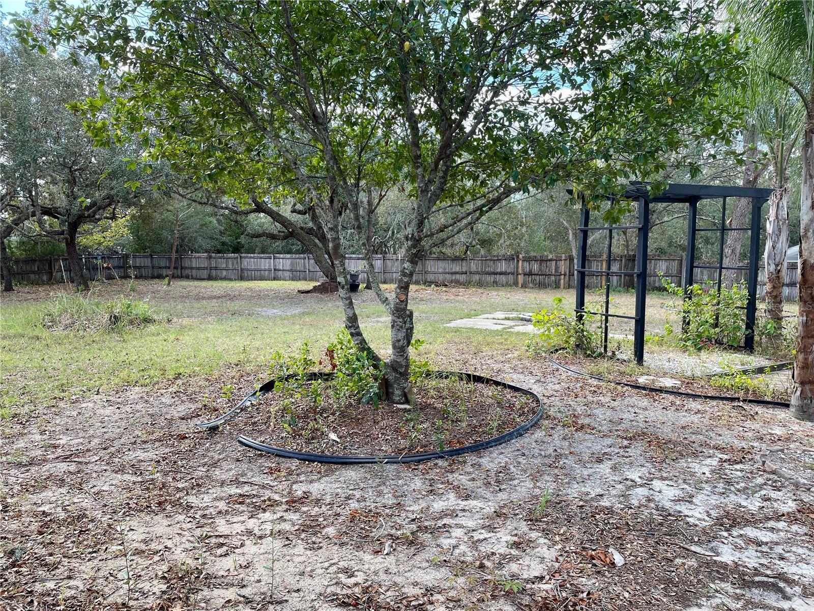 10448 CANARY AVE, WEEKI WACHEE, FL, 34613