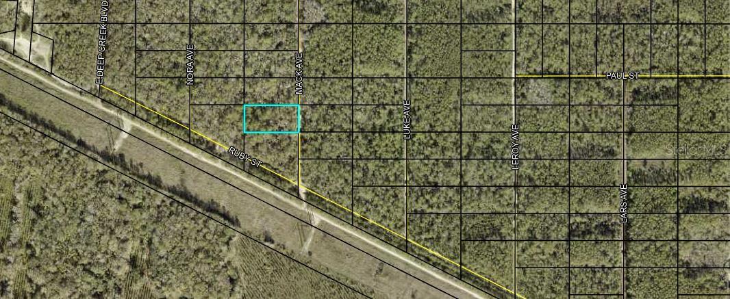 XX MACK AVE, HASTINGS, FL, 32145