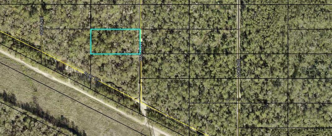 XX MACK AVE, HASTINGS, FL, 32145