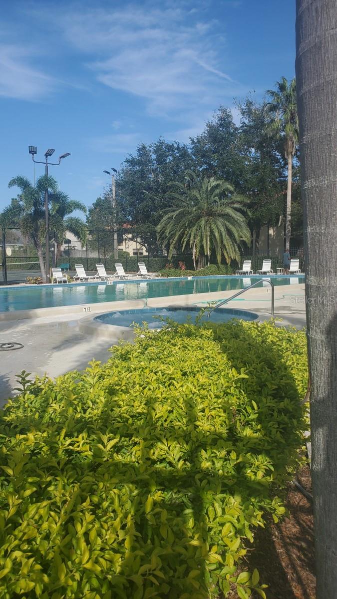 502 HAMMOCK PINE BLVD #502, CLEARWATER, FL, 33761