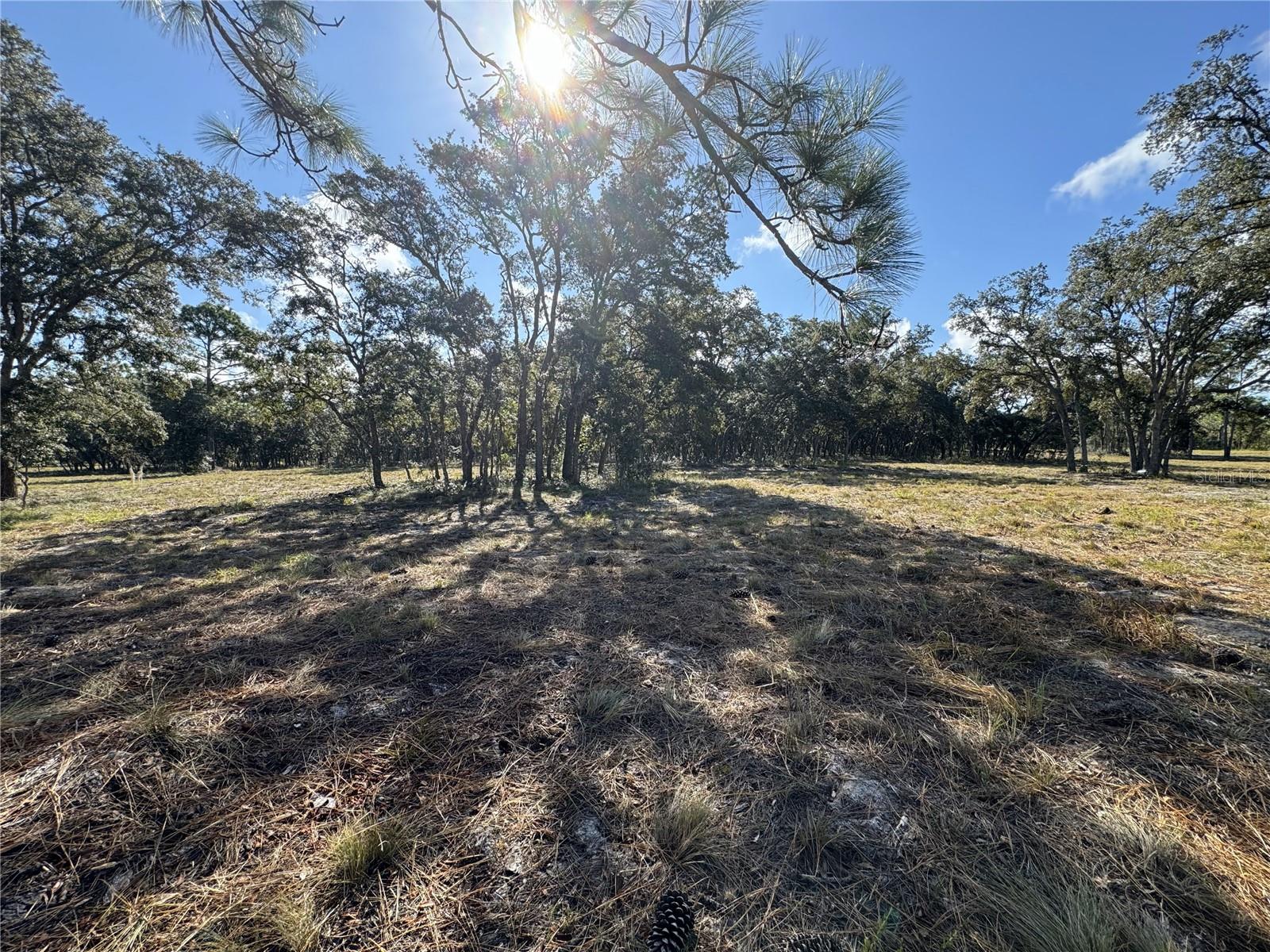 SE 101ST PL, DUNNELLON, FL, 34431
