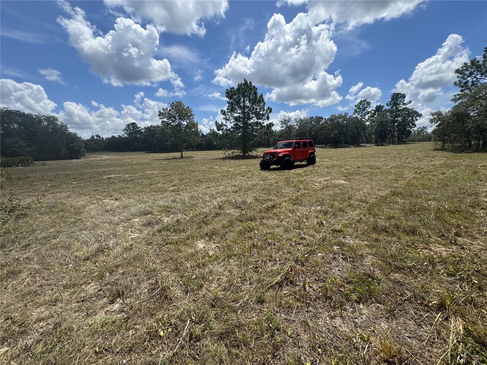 SE 101ST PL, DUNNELLON, FL, 34431