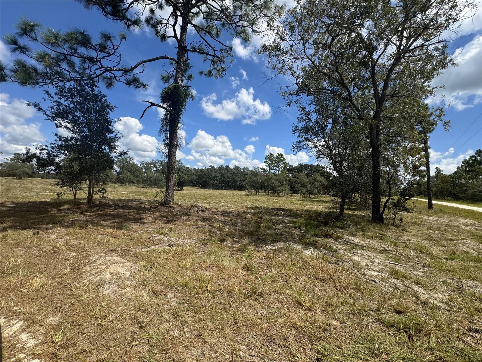 SE 101ST PL, DUNNELLON, FL, 34431