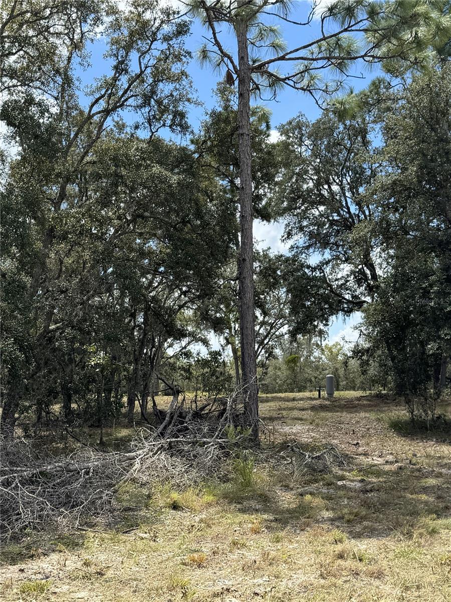 SE 101ST PL, DUNNELLON, FL, 34431