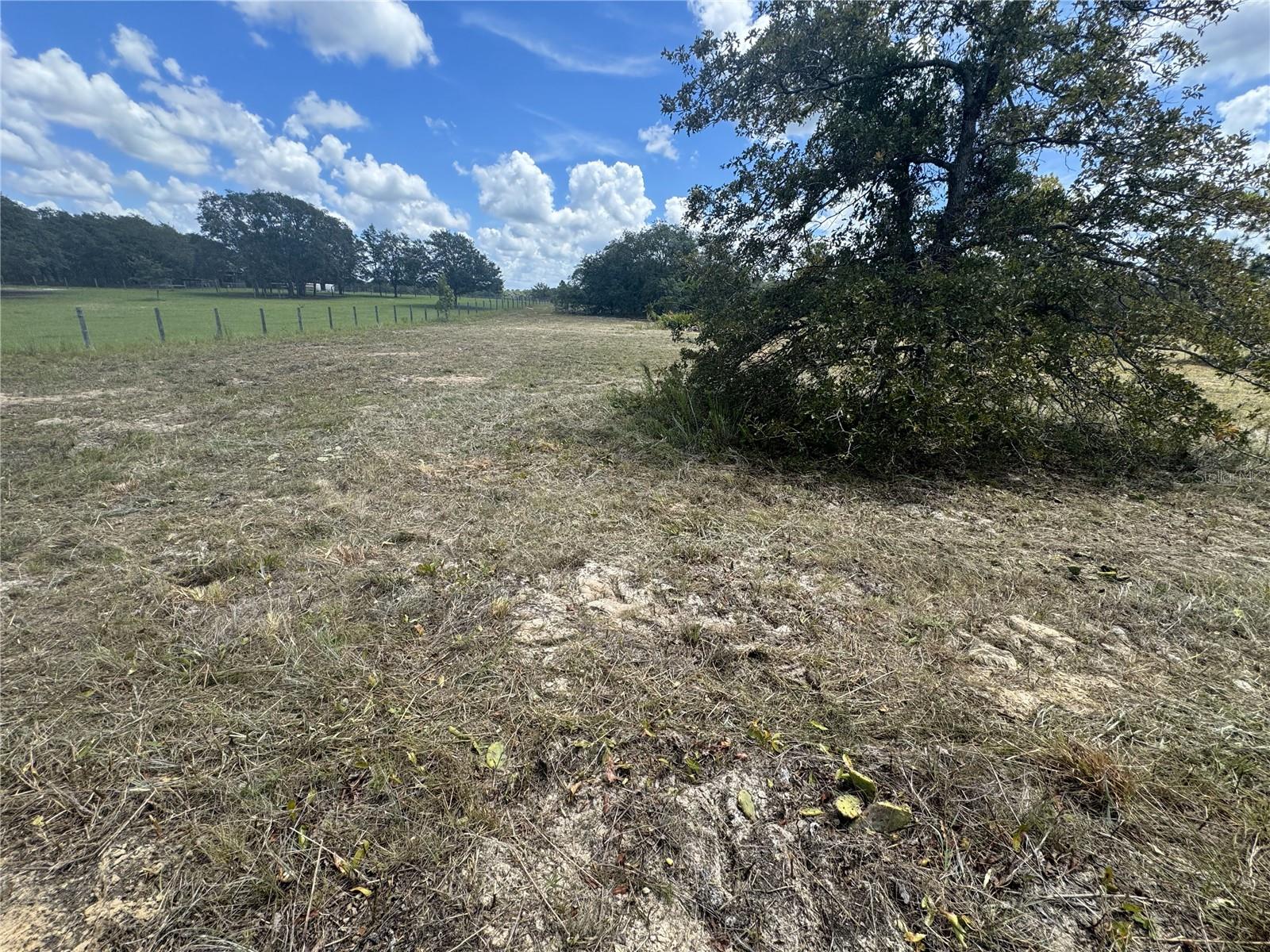 SE 101ST PL, DUNNELLON, FL, 34431