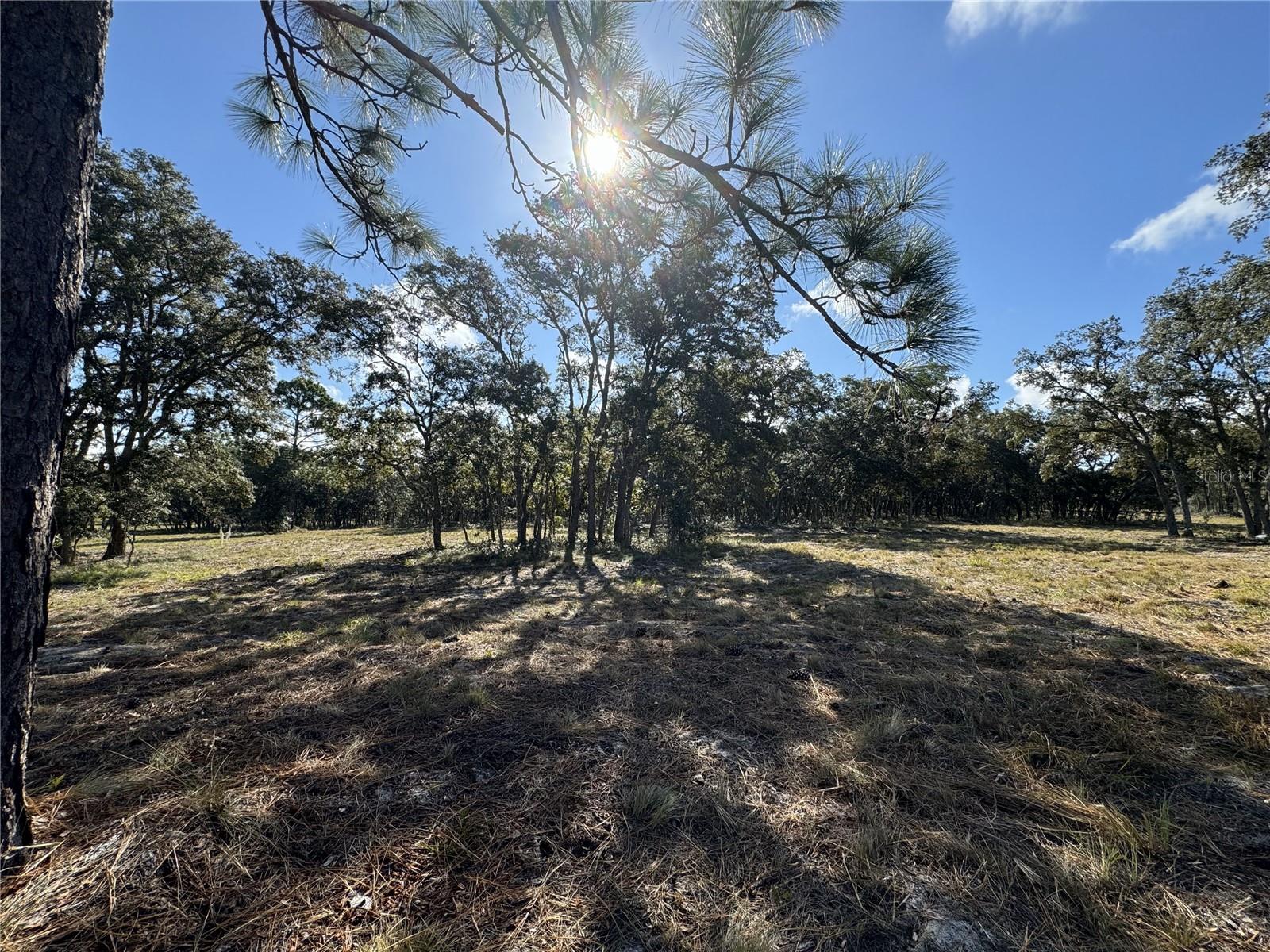 SE 101ST PL, DUNNELLON, FL, 34431
