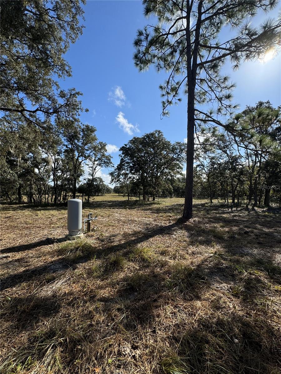 SE 101ST PL, DUNNELLON, FL, 34431