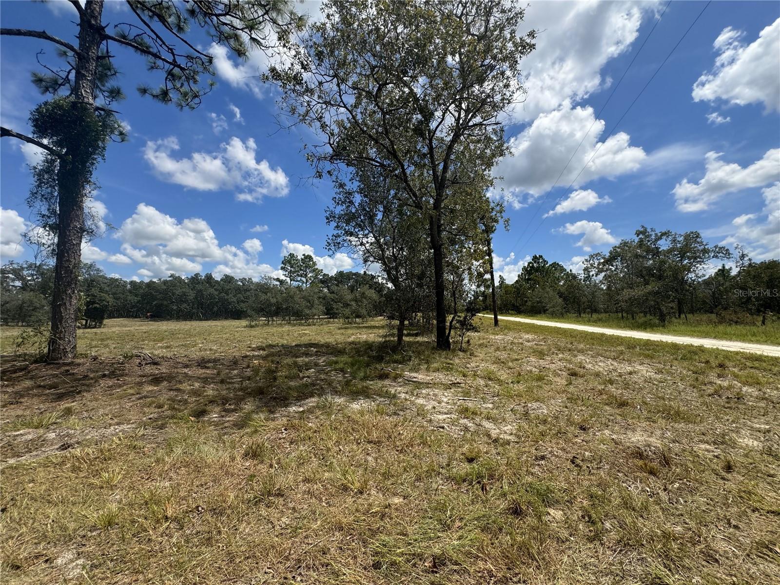 SE 101ST PL, DUNNELLON, FL, 34431