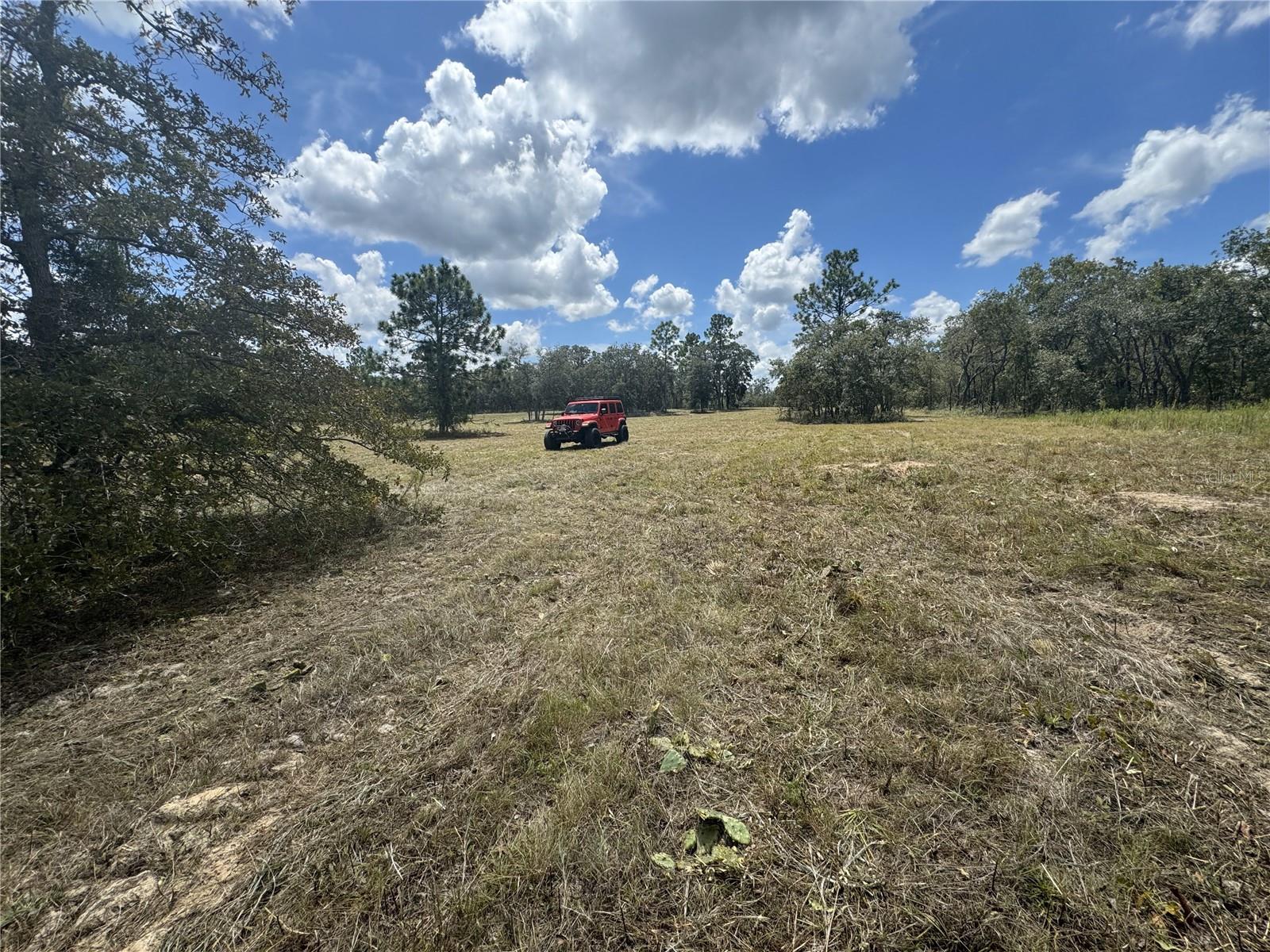 SE 101ST PL, DUNNELLON, FL, 34431