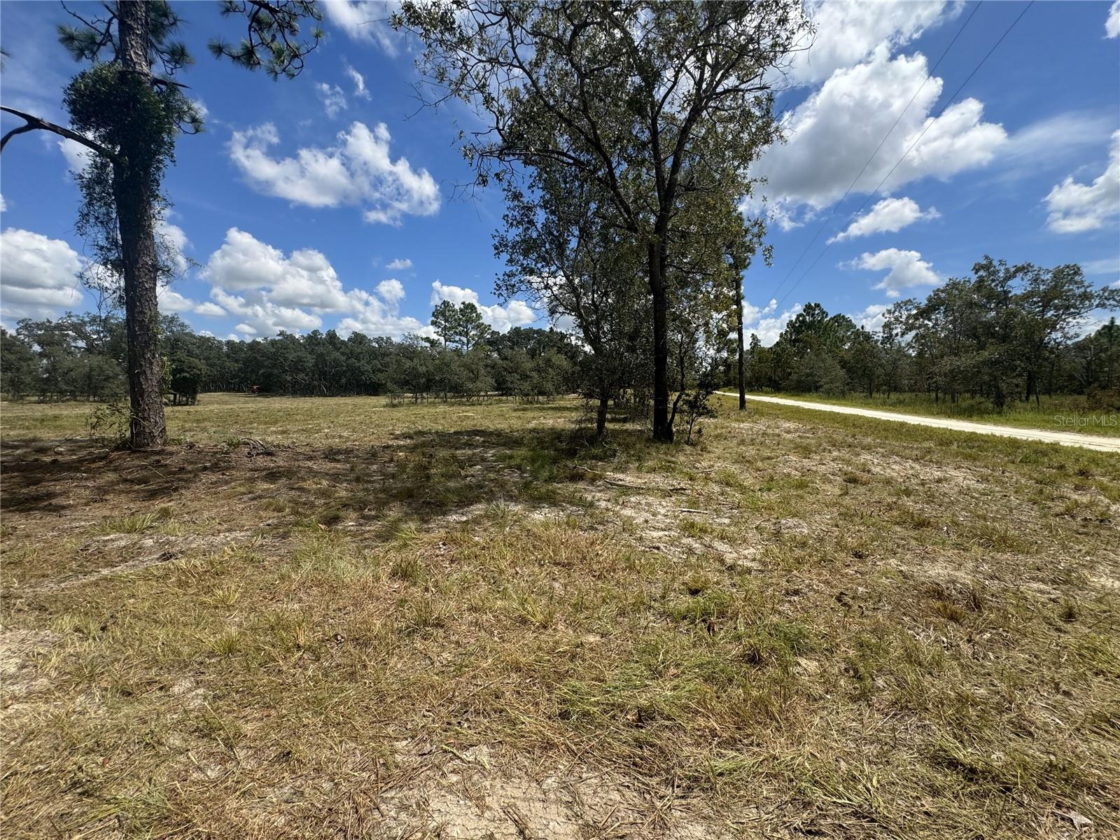 SE 101ST PL, DUNNELLON, FL, 34431