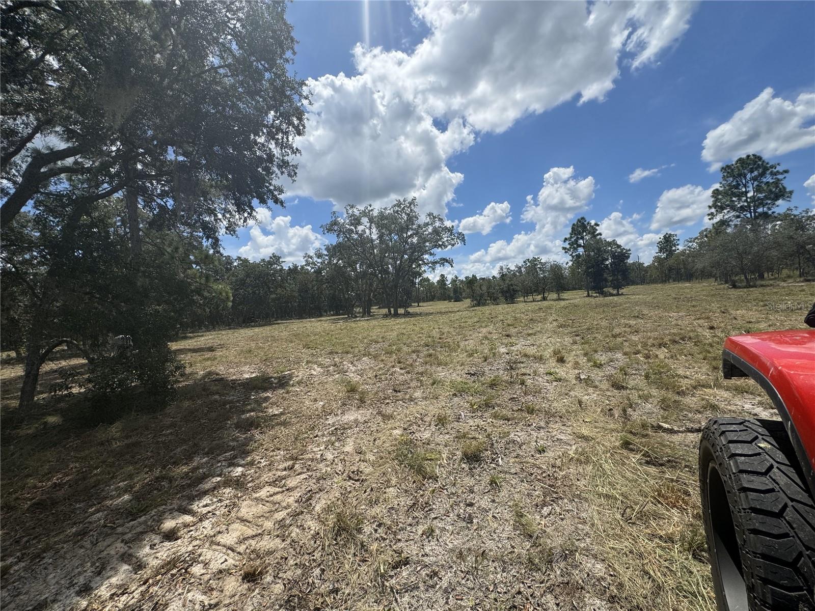 SE 101ST PL, DUNNELLON, FL, 34431