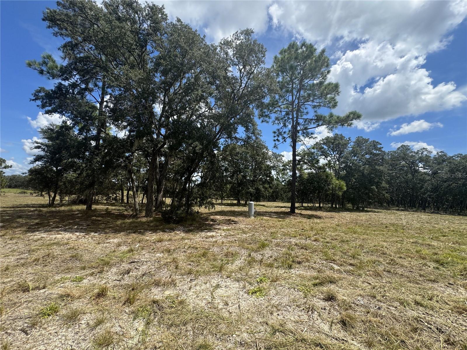 SE 101ST PL, DUNNELLON, FL, 34431