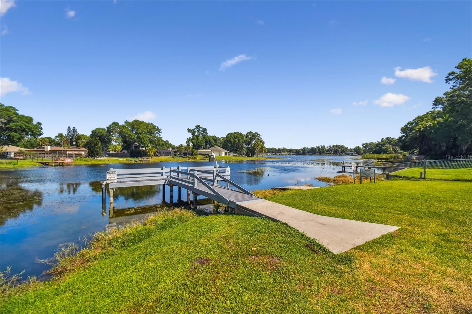 22023 HEATHERWOOD LN, LAND O LAKES, FL, 34639