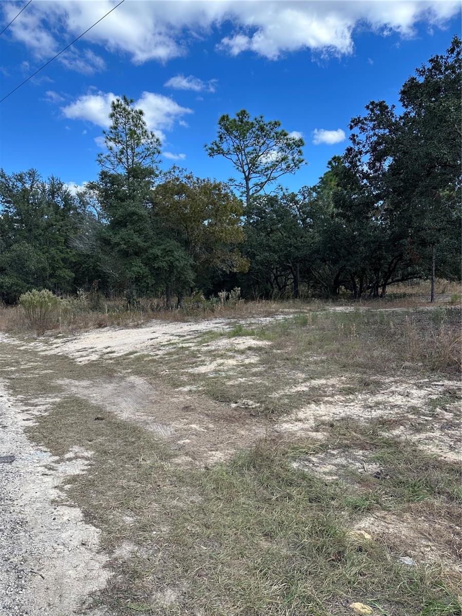 1419 W BELEN DR, CITRUS SPRINGS, FL, 34434