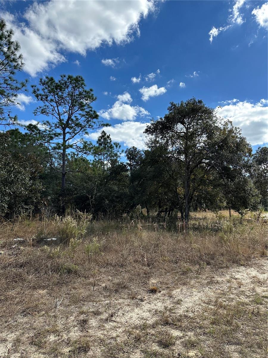 1419 W BELEN DR, CITRUS SPRINGS, FL, 34434