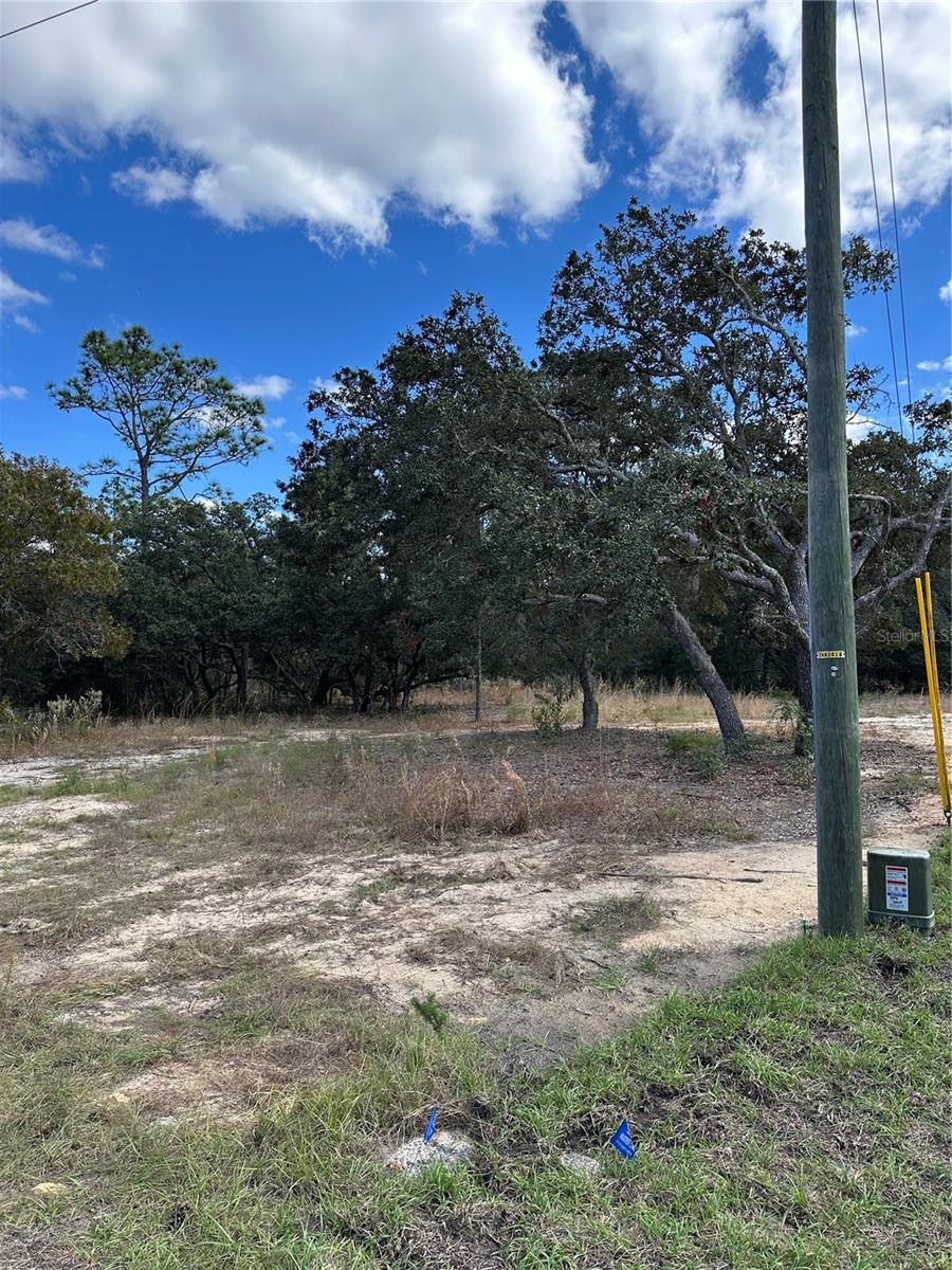 1419 W BELEN DR, CITRUS SPRINGS, FL, 34434
