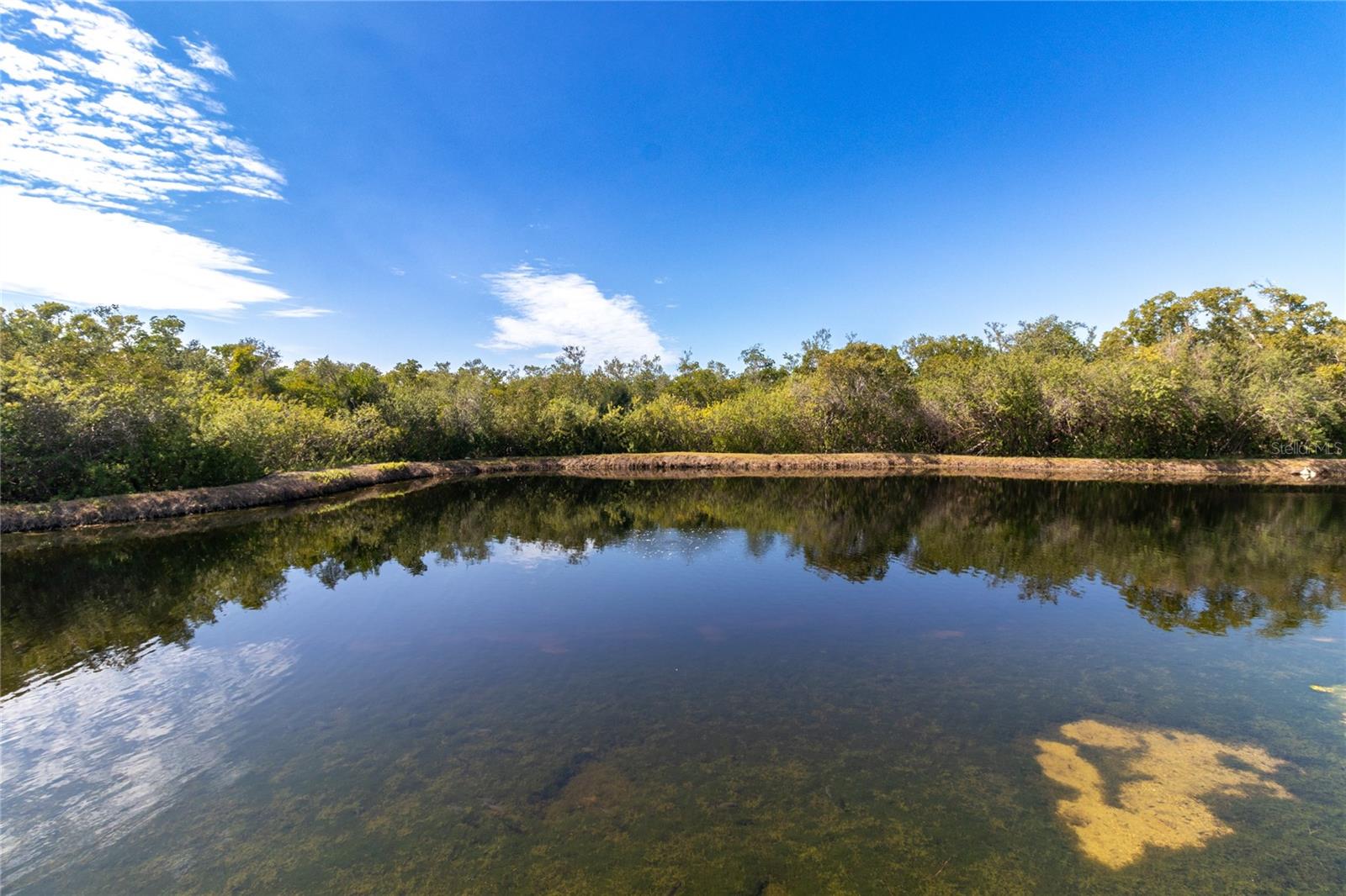 1256 SPOONBILL LANDINGS CIR, BRADENTON, FL, 34209
