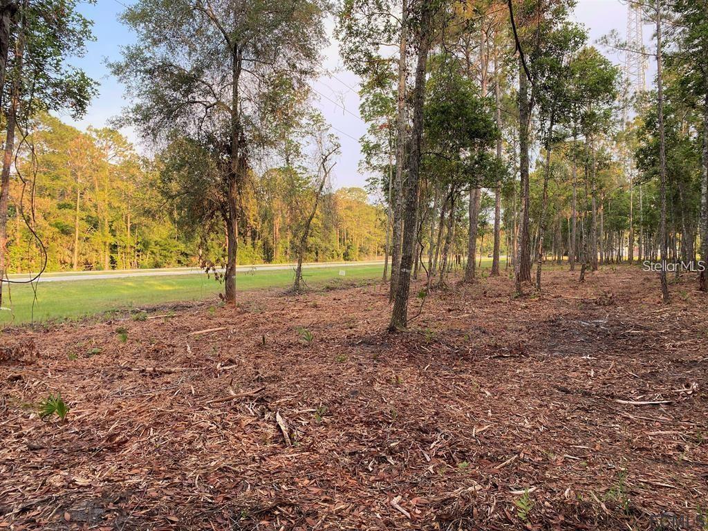 53XX US HWY 1 N, BUNNELL, FL, 32110