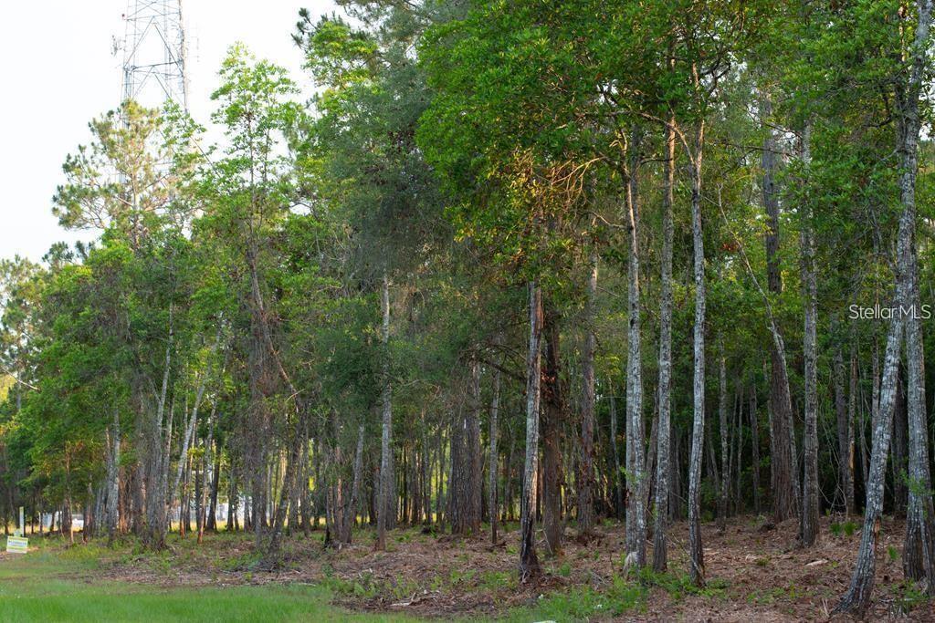 53XX US HWY 1 N, BUNNELL, FL, 32110