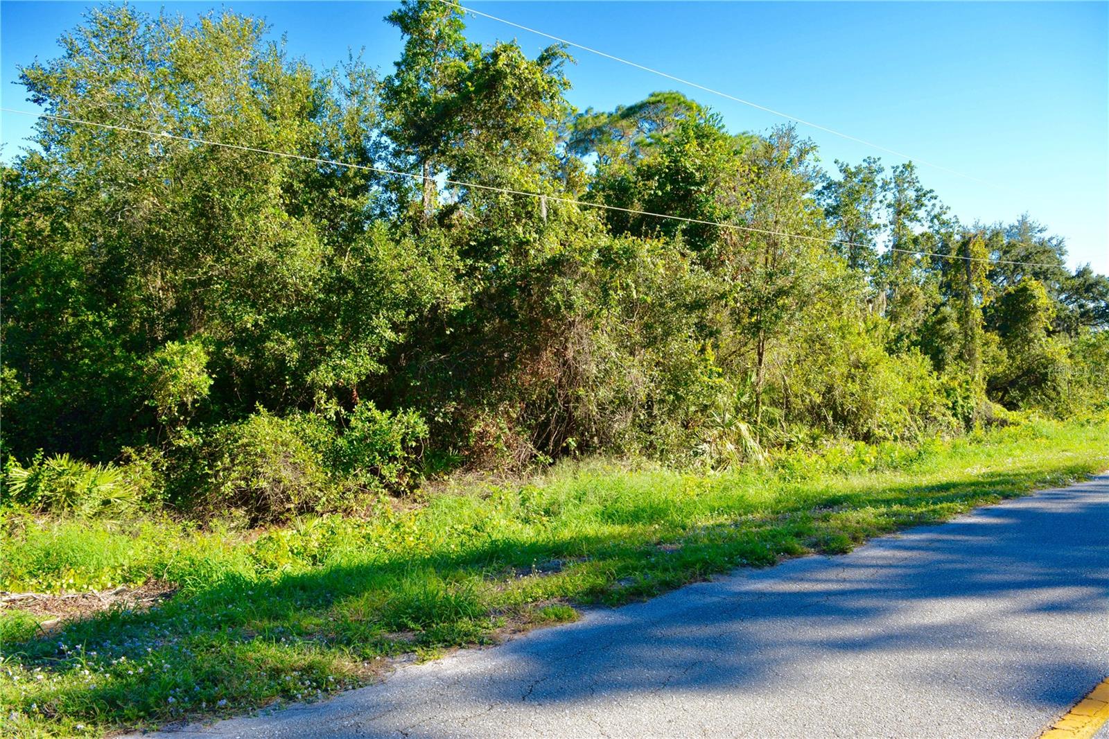 739 HIGHLANDS LAKE DR, LAKE PLACID, FL, 33852