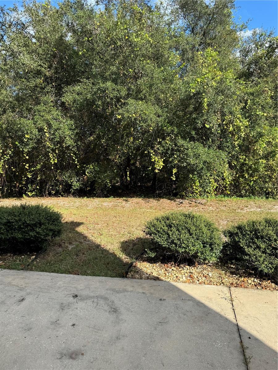 15651 GREYROCK DR, SPRING HILL, FL, 34610