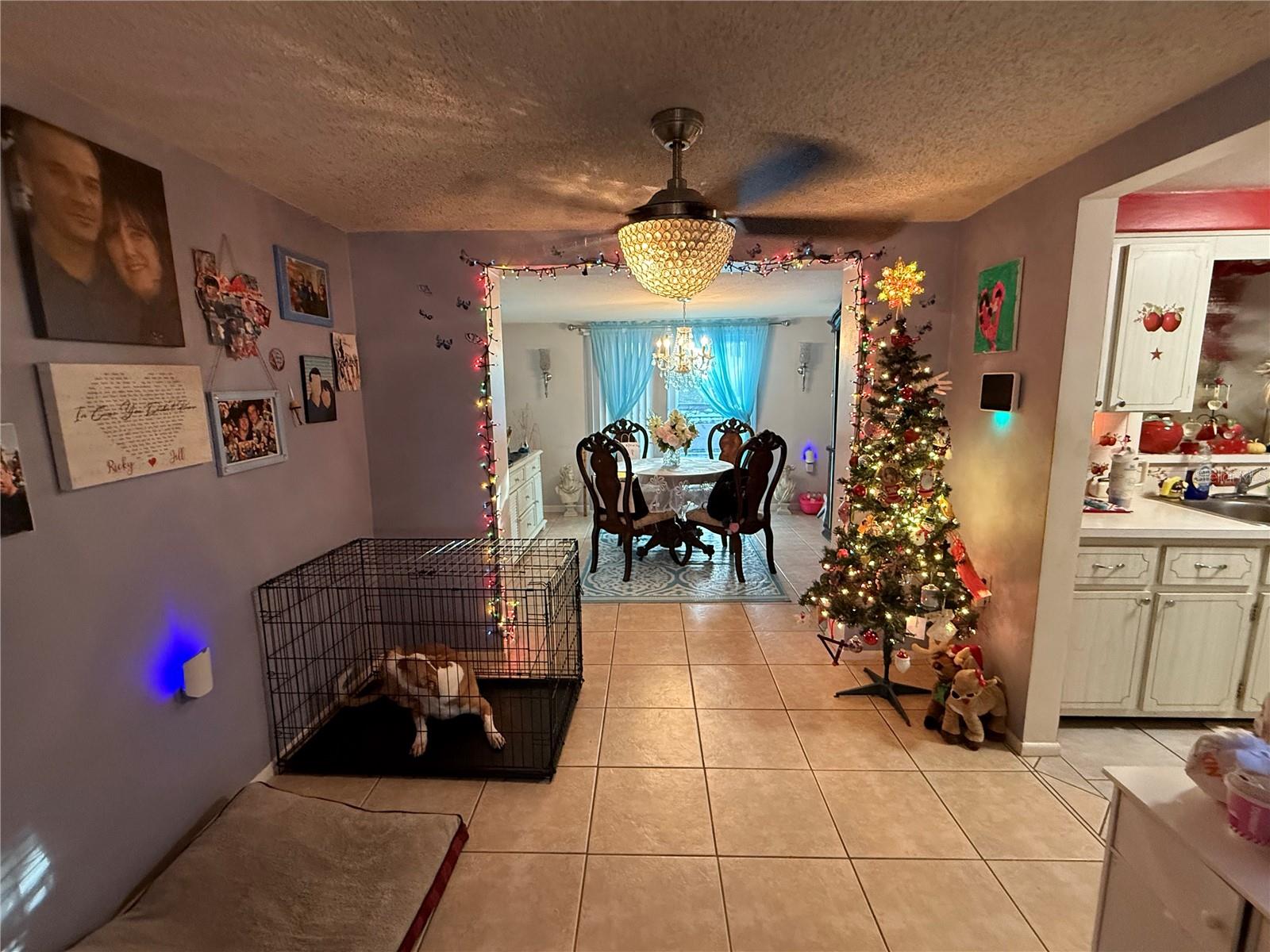 1631 PLUM TREE RD, HOLIDAY, FL, 34690