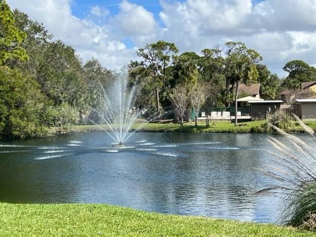 919 SUNRIDGE DR #919, SARASOTA, FL, 34234