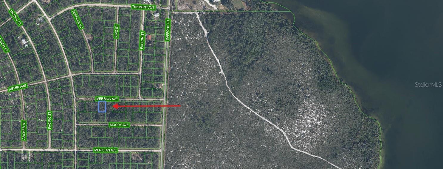 3116 MERRICK AVE, LAKE PLACID, FL, 33852