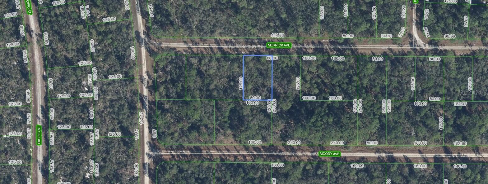 3116 MERRICK AVE, LAKE PLACID, FL, 33852