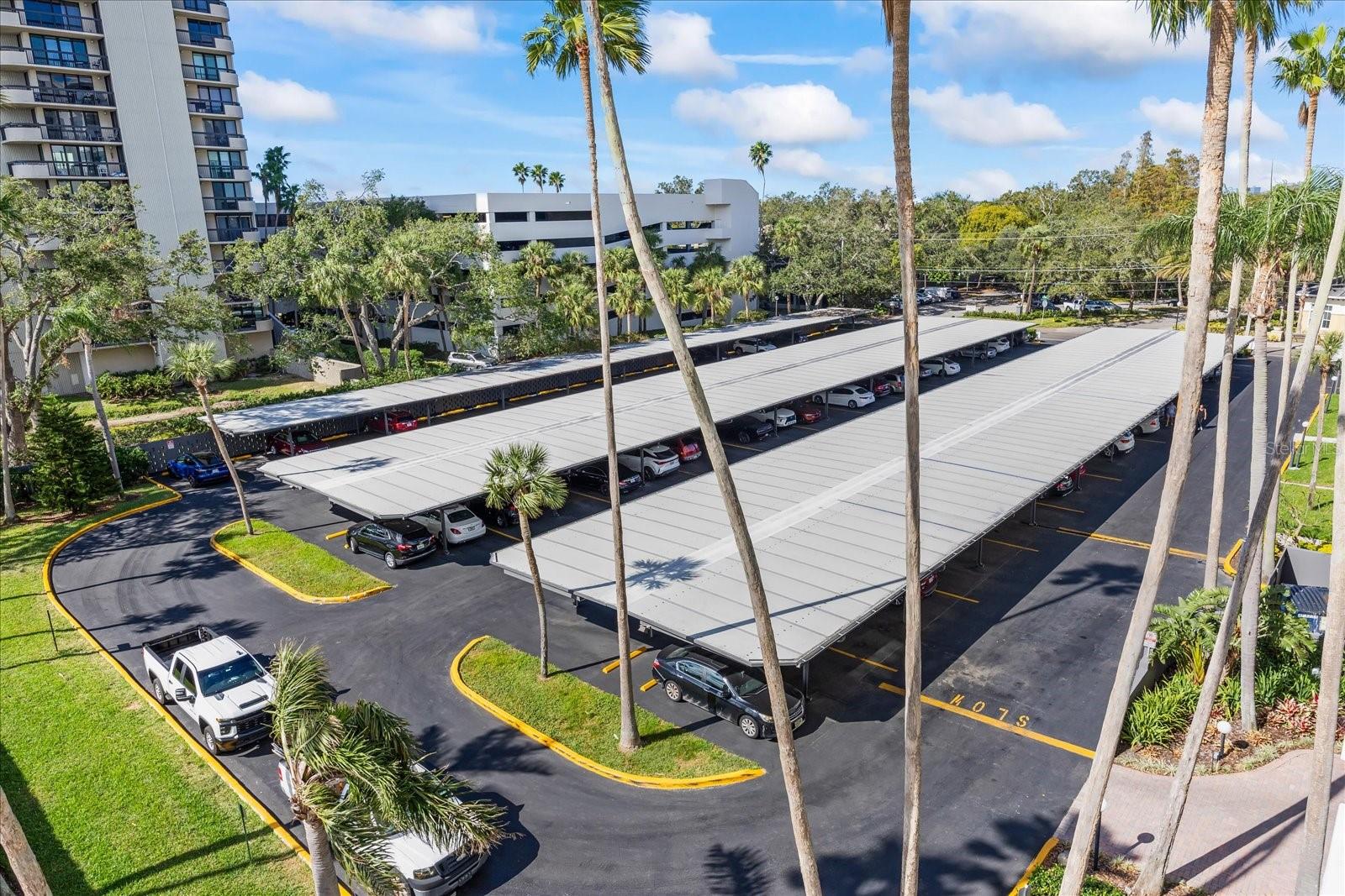 2401 BAYSHORE BLVD #410 & 510, TAMPA, FL, 33629