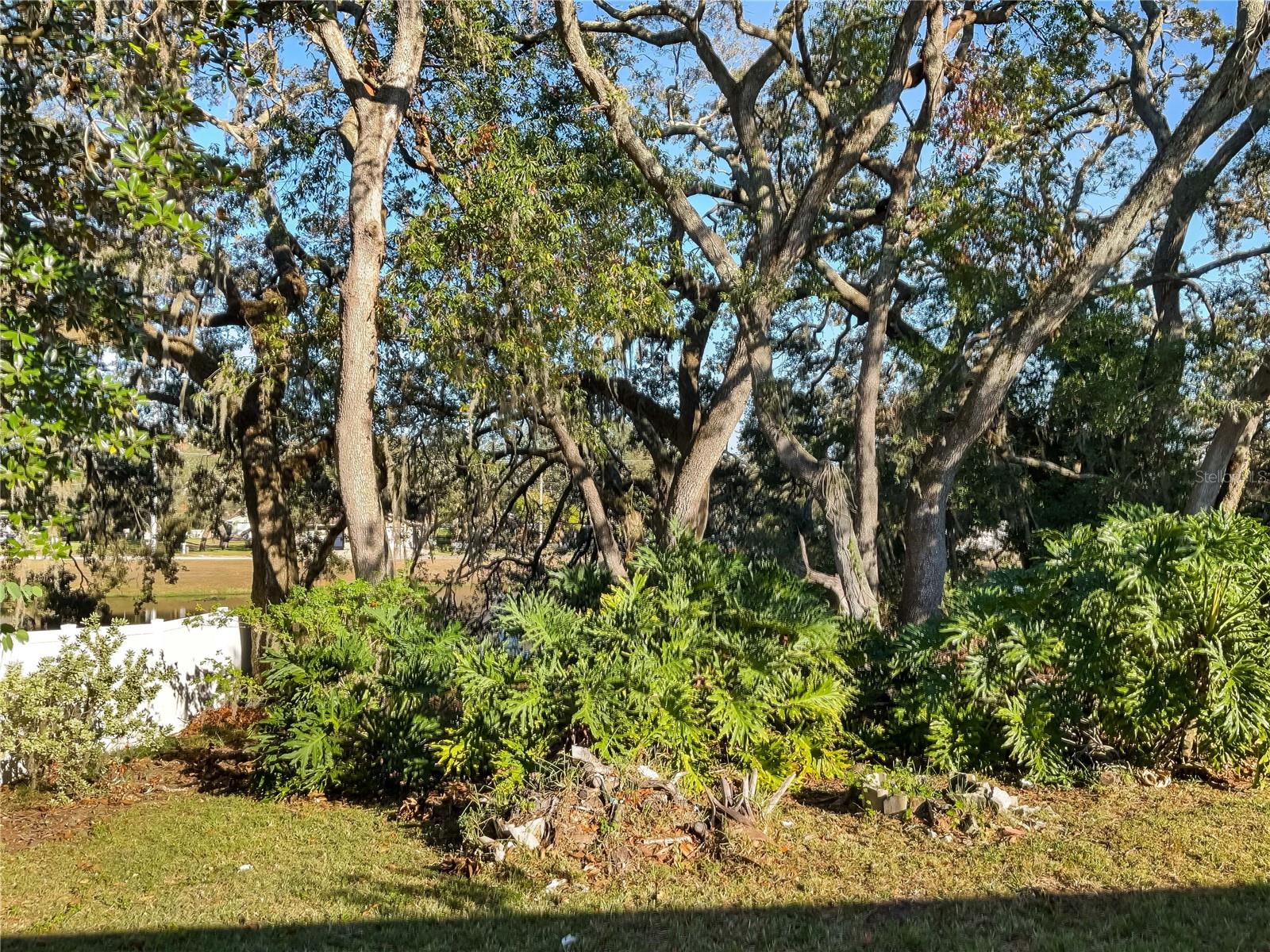 10809 N EDISON AVE, TAMPA, FL, 33612