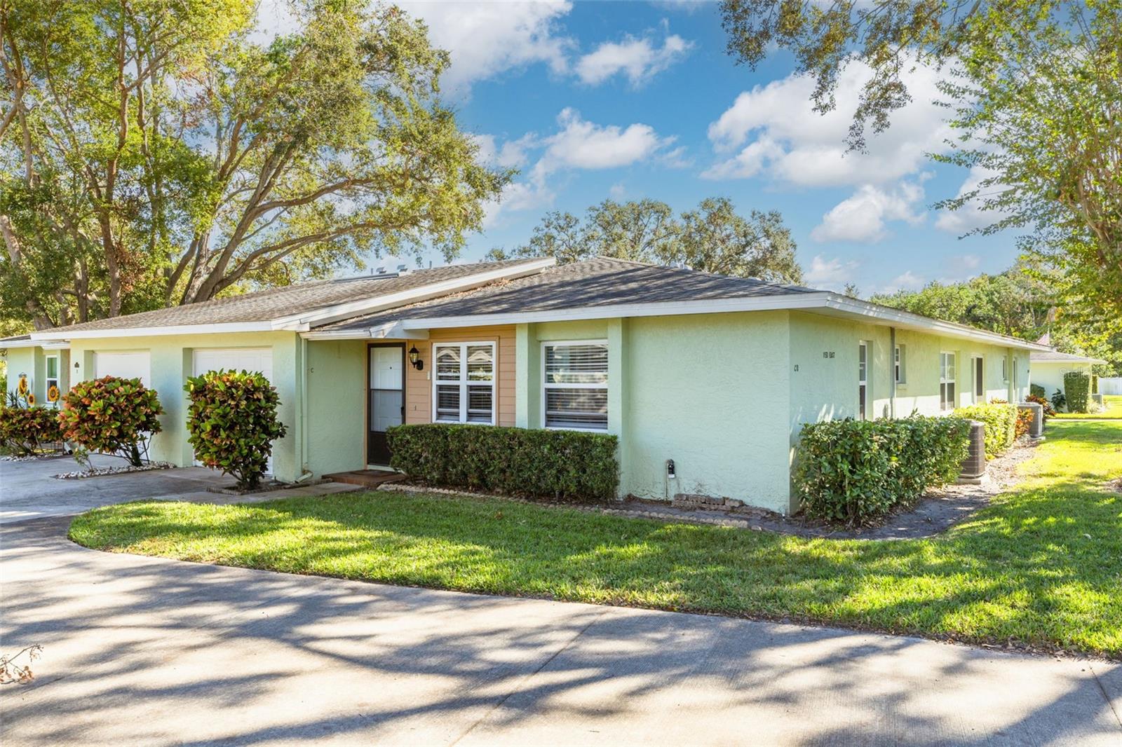 1150 ORANGE TREE CIR E #C, PALM HARBOR, FL, 34684