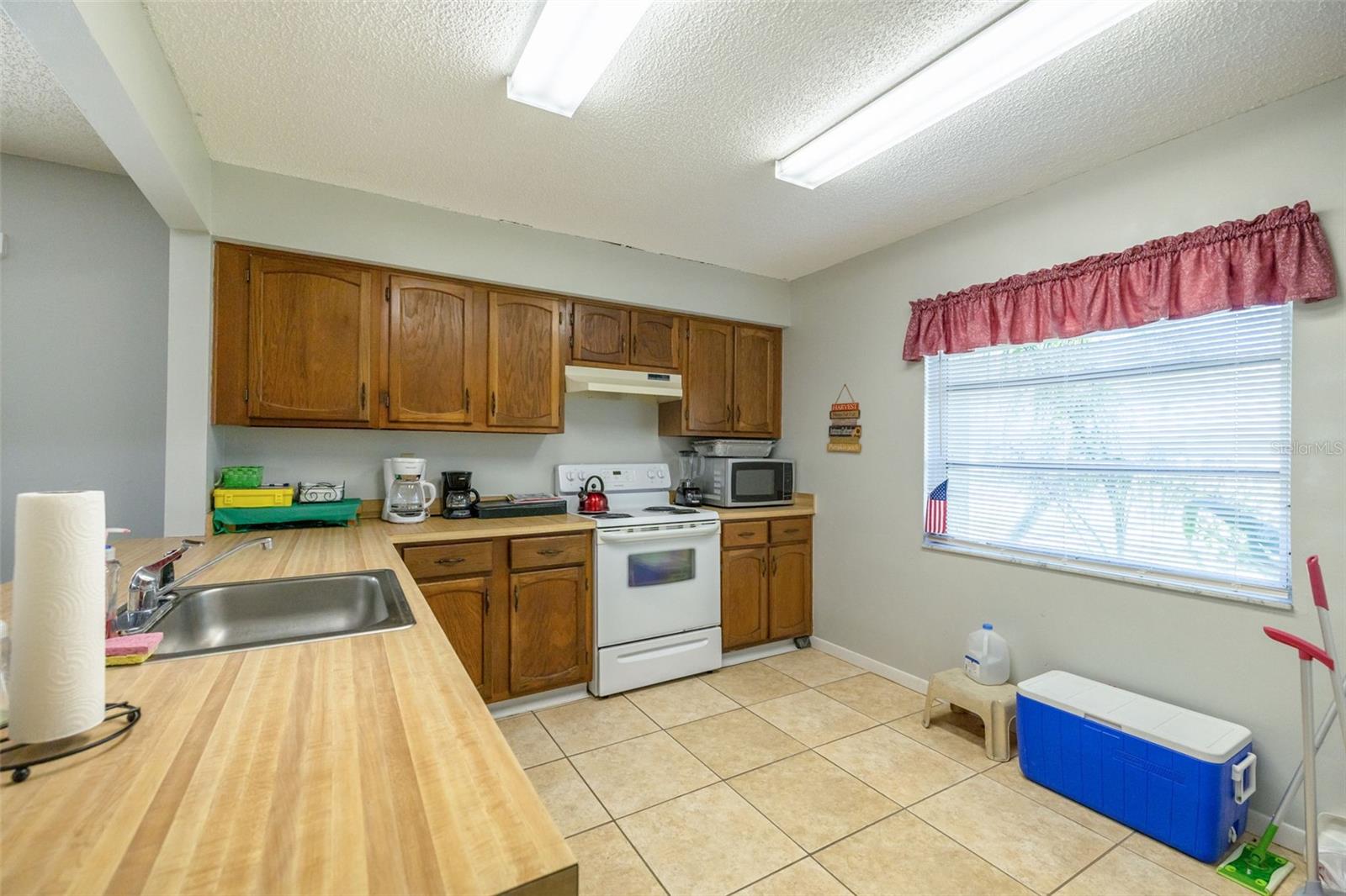 1150 ORANGE TREE CIR E #C, PALM HARBOR, FL, 34684
