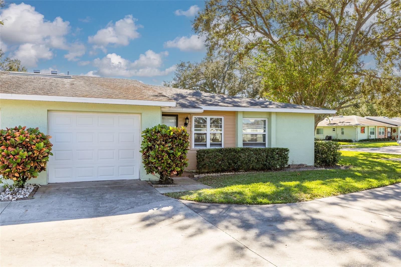1150 ORANGE TREE CIR E #C, PALM HARBOR, FL, 34684