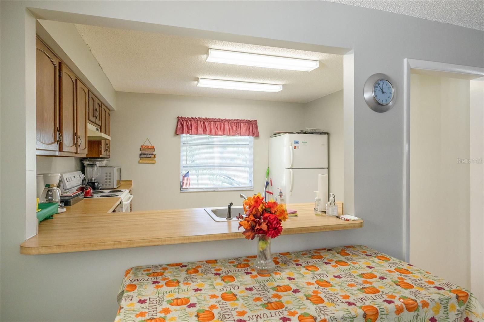 1150 ORANGE TREE CIR E #C, PALM HARBOR, FL, 34684