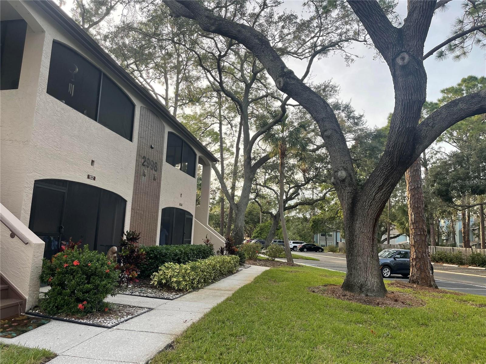 2998 BONAVENTURE CIR #101, PALM HARBOR, FL, 34684