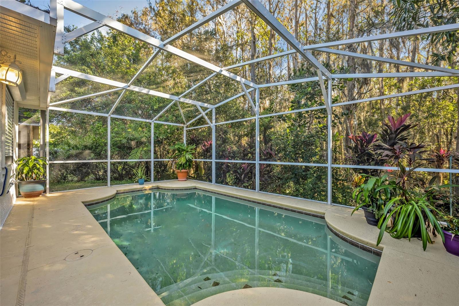 2460 OAK MILL DR, KISSIMMEE, FL, 34744