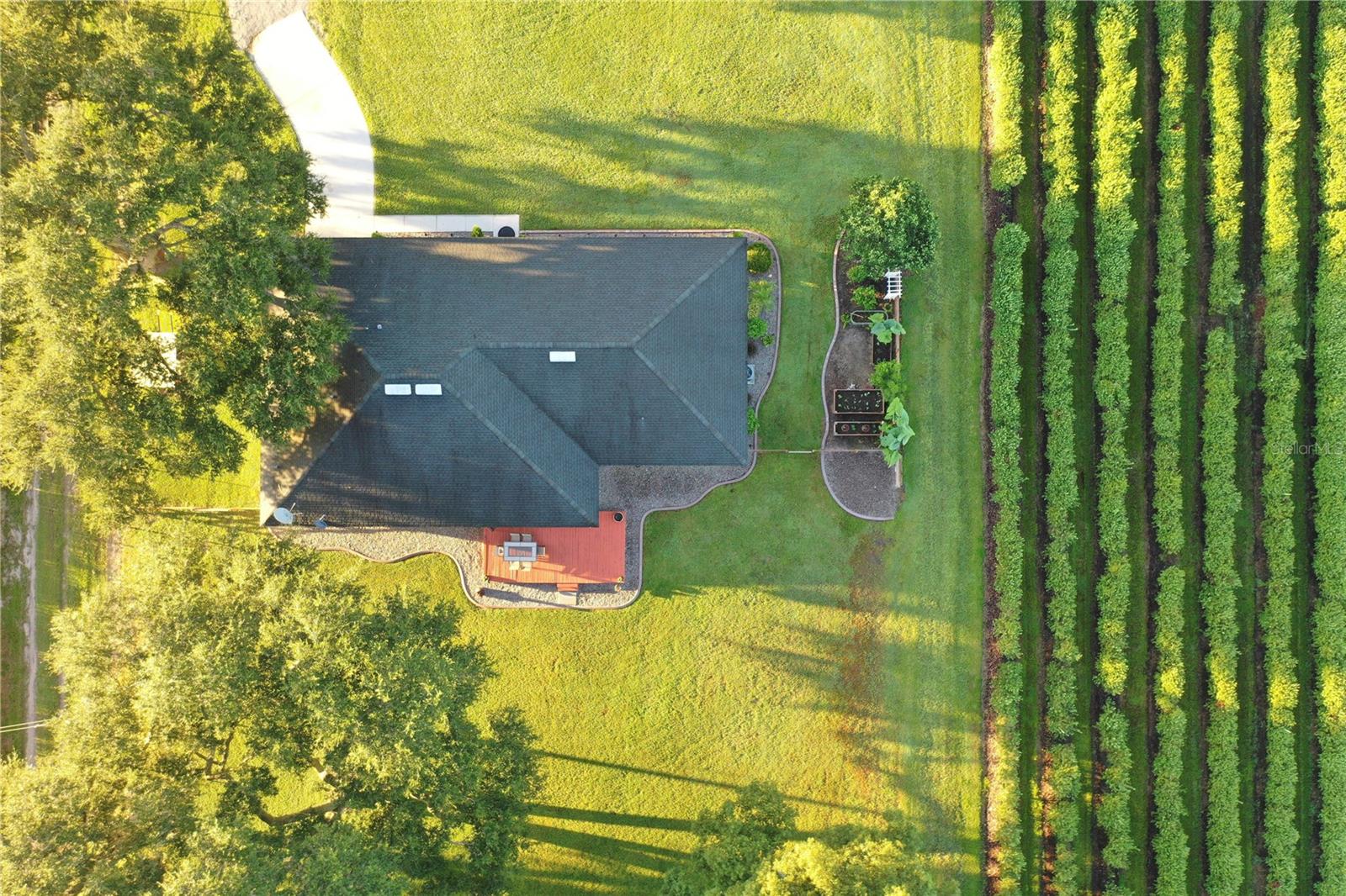 6155 BETHLEHEM RD, MULBERRY, FL, 33860