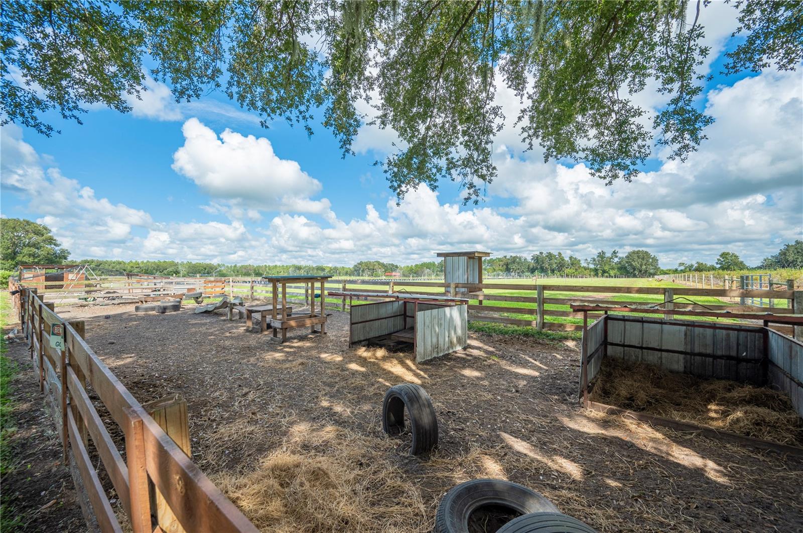 6155 BETHLEHEM RD, MULBERRY, FL, 33860