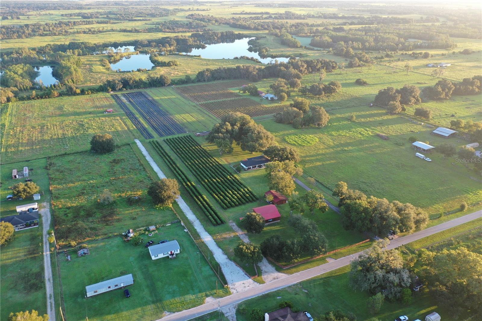 6155 BETHLEHEM RD, MULBERRY, FL, 33860