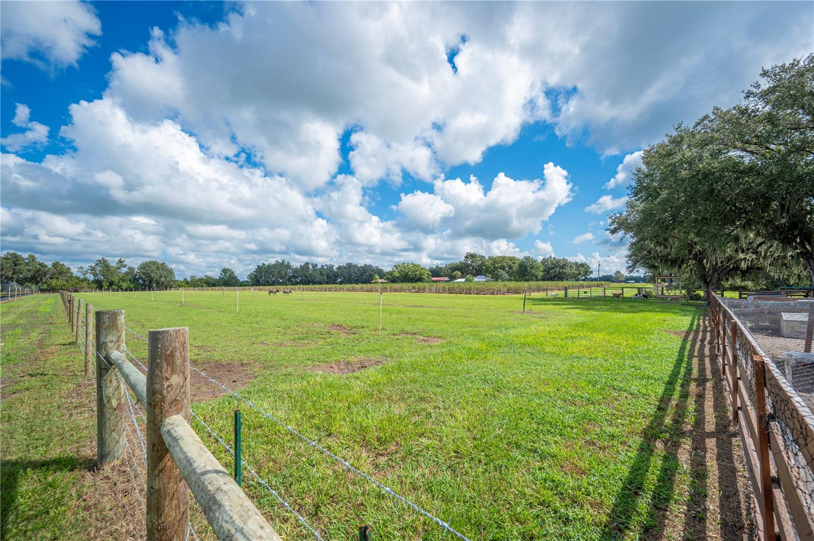 6155 BETHLEHEM RD, MULBERRY, FL, 33860