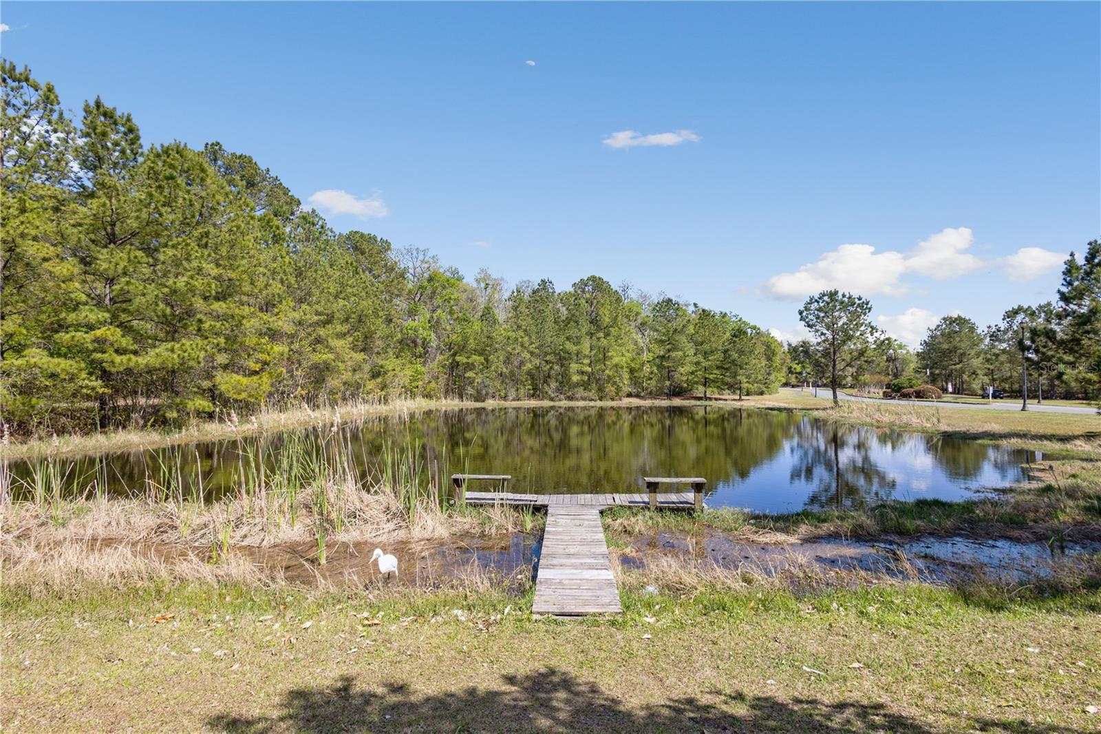 151 SW SILVER PALM DR, LAKE CITY, FL, 32024